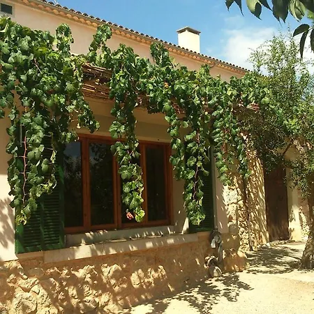 Son Jordi Nou, Beautiful Near Alaro Big Swimming Pool, Bbq Mountain Views 12people Consell