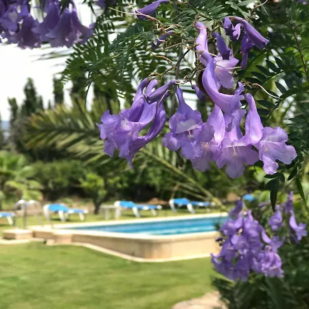 Villa Son Jordi Nou, Beautiful Near Alaro Big Swimming Pool, Bbq Mountain Views 12people